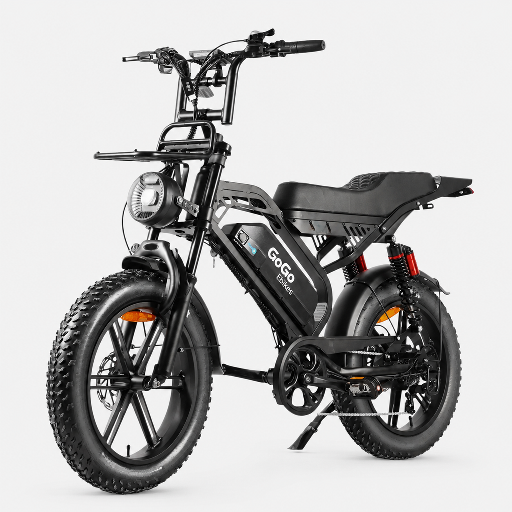 GoGo Action Pro
