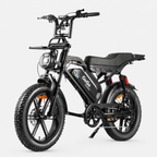 GoGo Action Pro