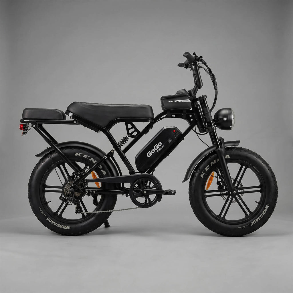 GoGo X2 Pro