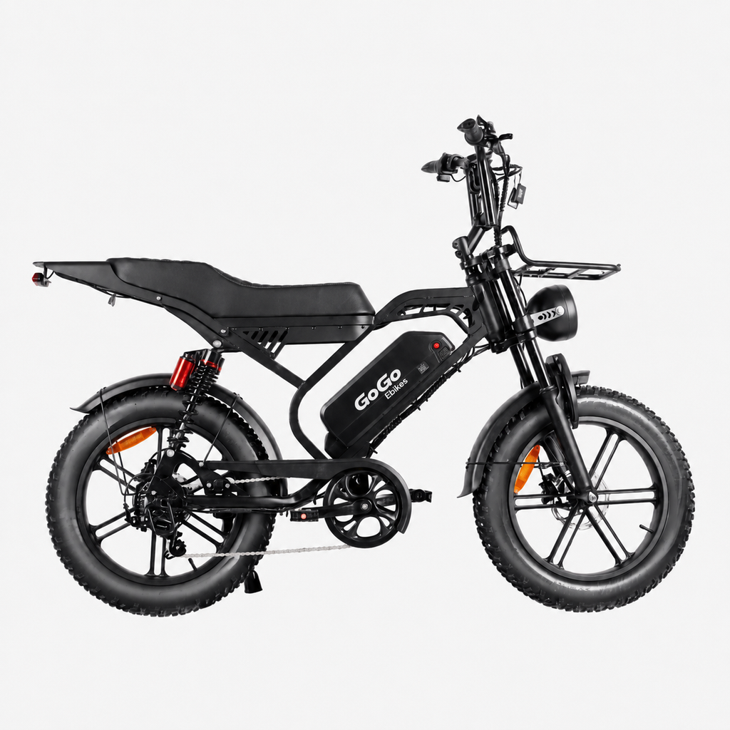 GoGo Action Pro