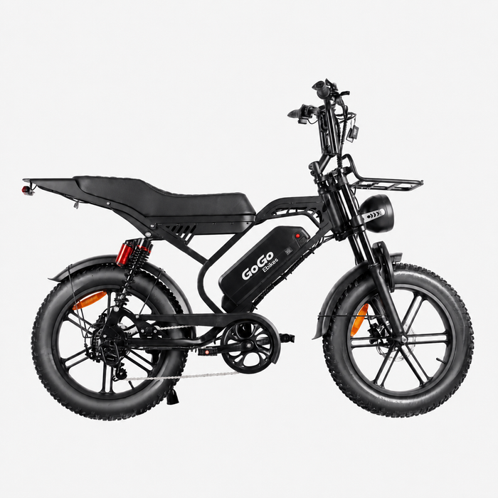 GoGo Action Pro