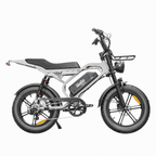 GoGo Action Pro